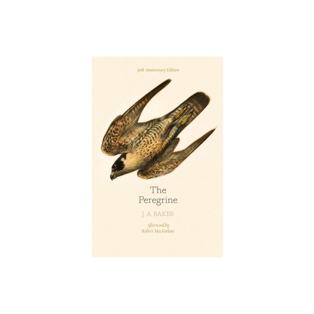Produktbild för The Peregrine: 50th Anniversary Edition (häftad, eng)