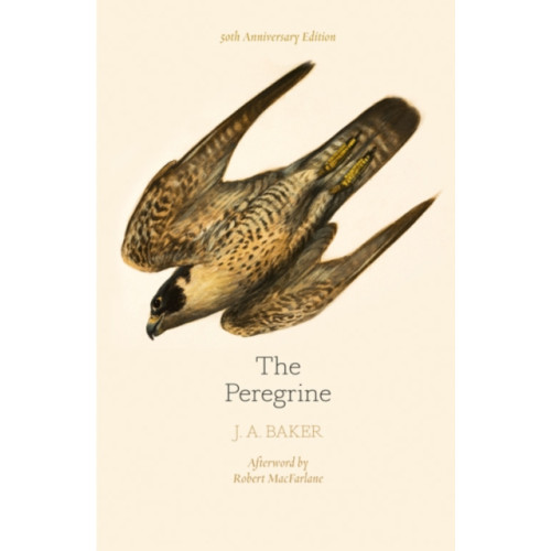 HarperCollins Publishers The Peregrine: 50th Anniversary Edition (häftad, eng)