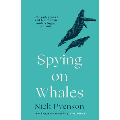 HarperCollins Publishers Spying on Whales (häftad, eng)