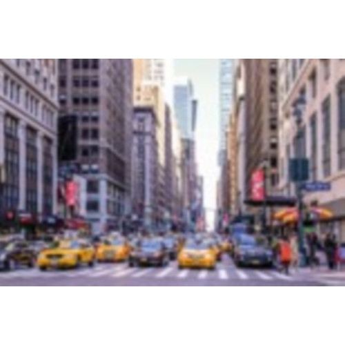 Robert Frederick 1000 Piece Jigsaw Puzzle Double Sided - Views Of New York (häftad, eng)