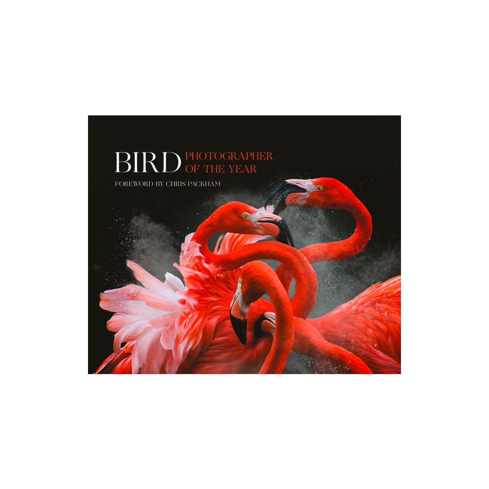 Produktbild för Bird Photographer of the Year (inbunden, eng)