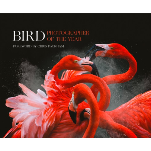 HarperCollins Publishers Bird Photographer of the Year (inbunden, eng)