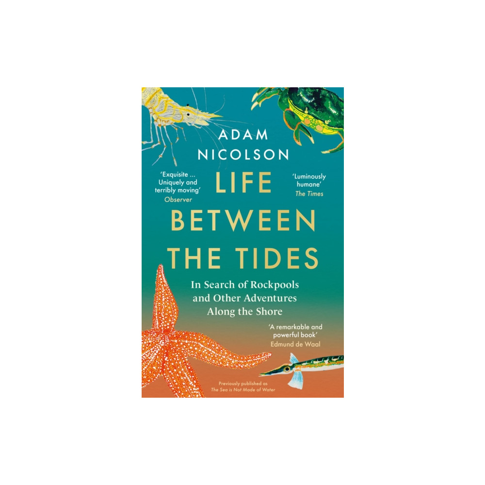 Produktbild för Life Between the Tides (häftad, eng)