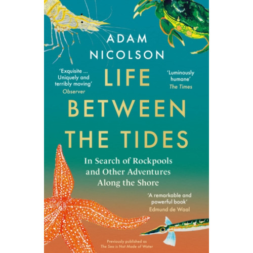 HarperCollins Publishers Life Between the Tides (häftad, eng)