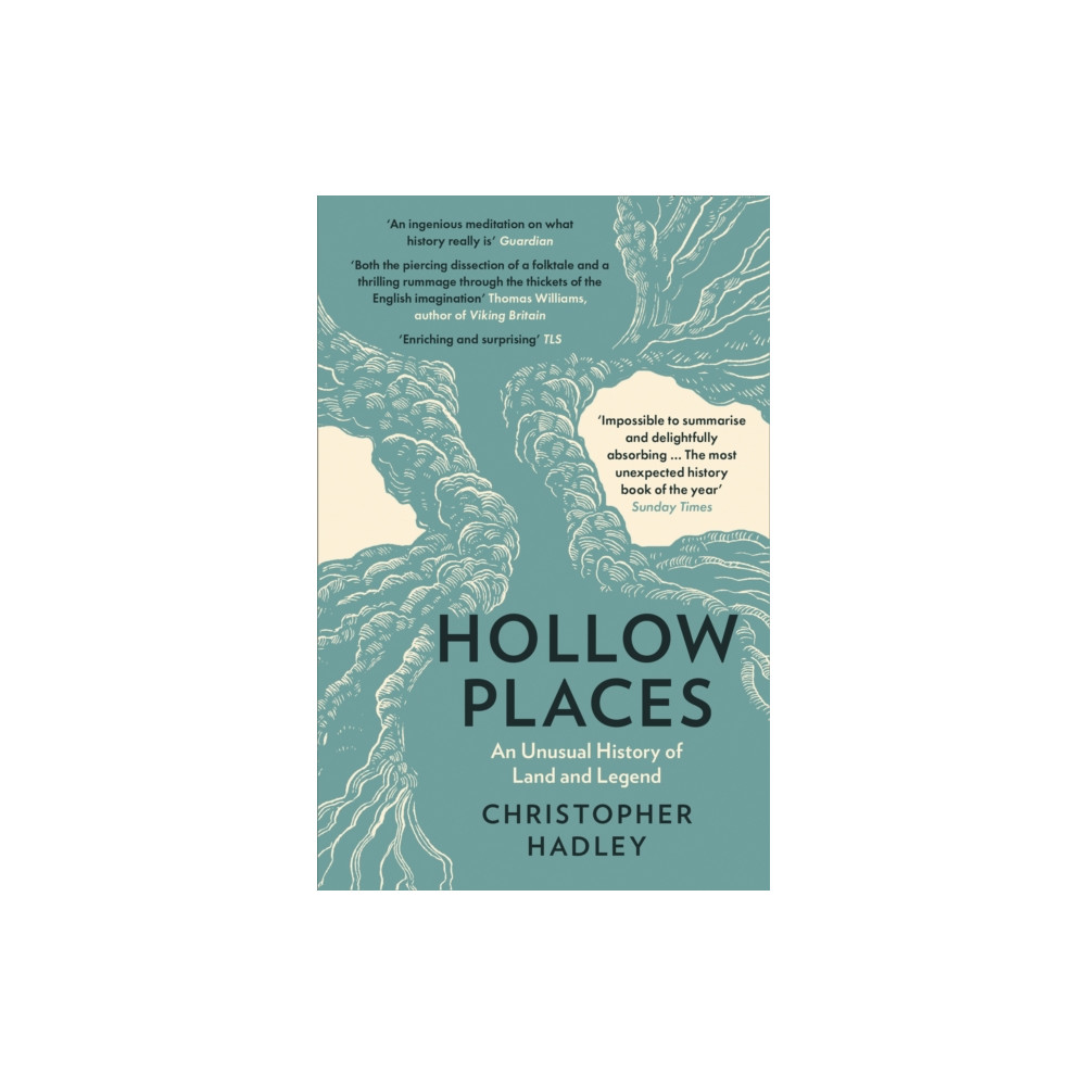Produktbild för Hollow Places (häftad, eng)