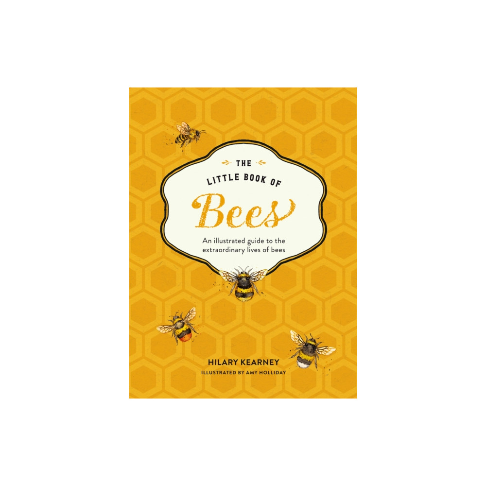 Produktbild för The Little Book of Bees (inbunden, eng)