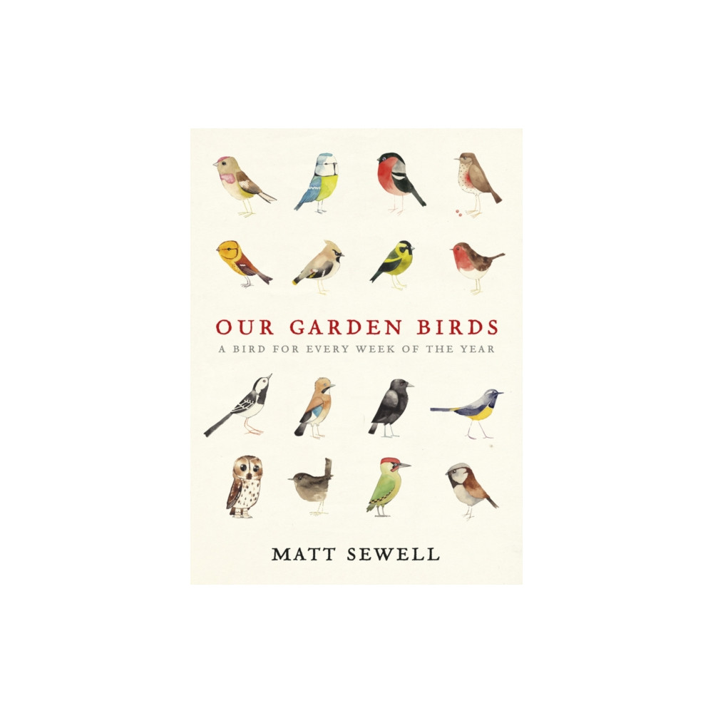 Produktbild för Our Garden Birds (inbunden, eng)
