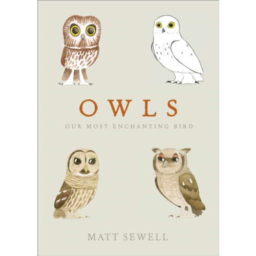 Ebury Publishing Owls (inbunden, eng)