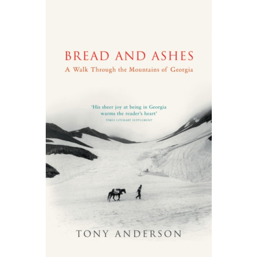Vintage Publishing Bread And Ashes (häftad, eng)