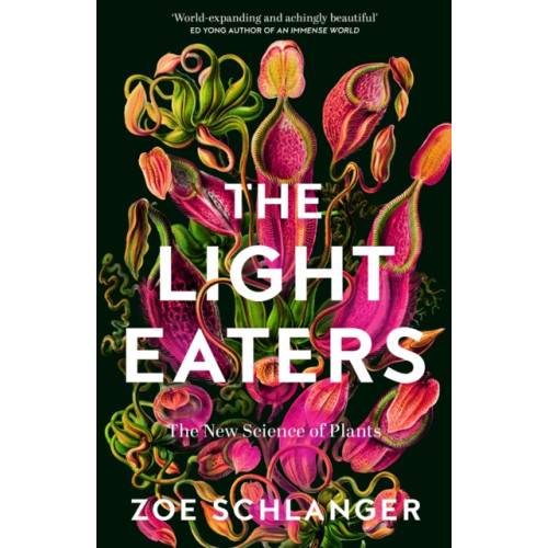 HarperCollins Publishers The Light Eaters (inbunden, eng)