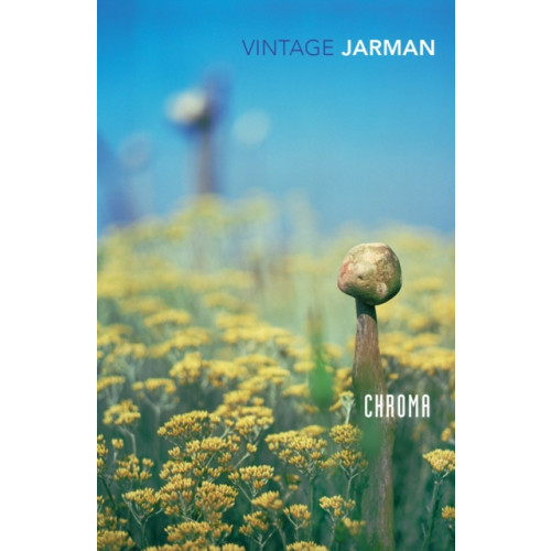 Vintage Publishing Chroma (häftad, eng)