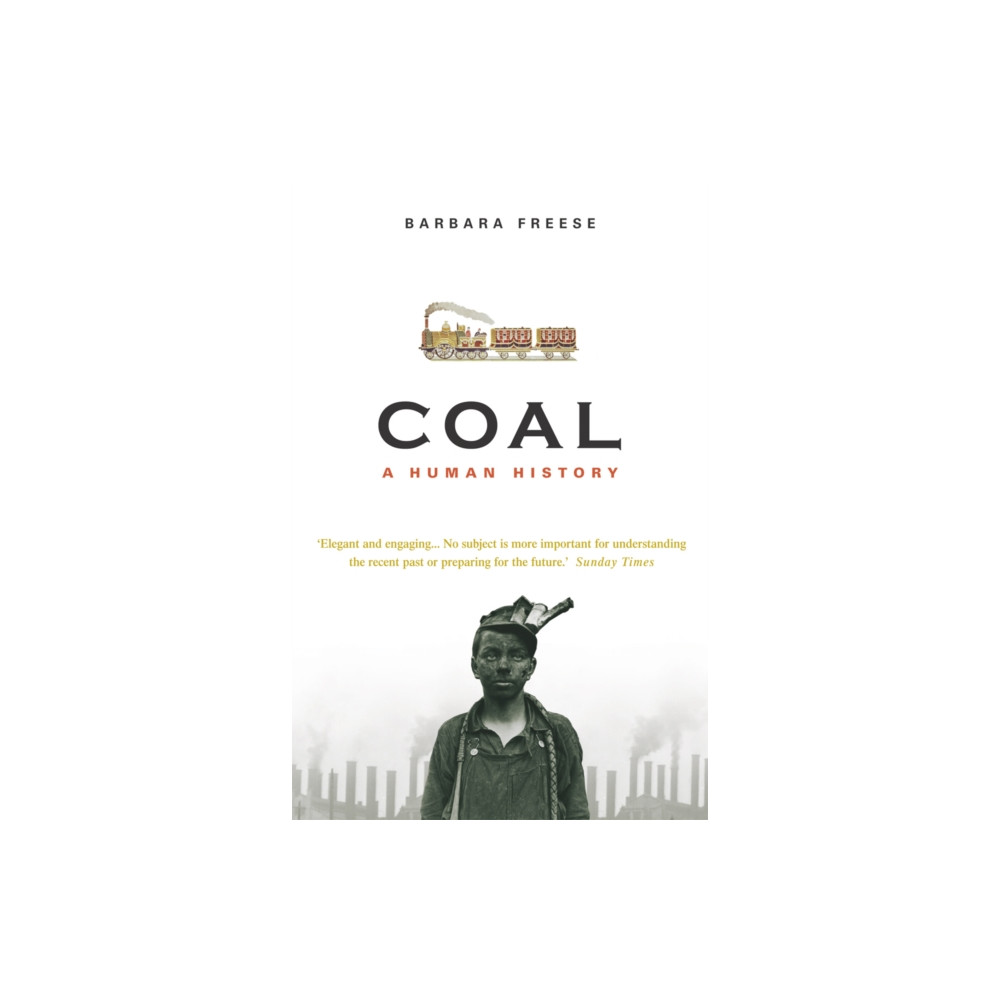 Produktbild för Coal (häftad, eng)