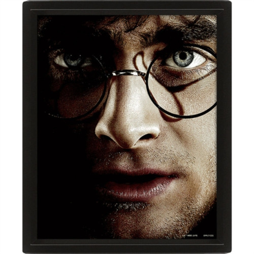 Pyramid International Harry Potter (Harry Vs Voldemort) - Framed (häftad, eng)