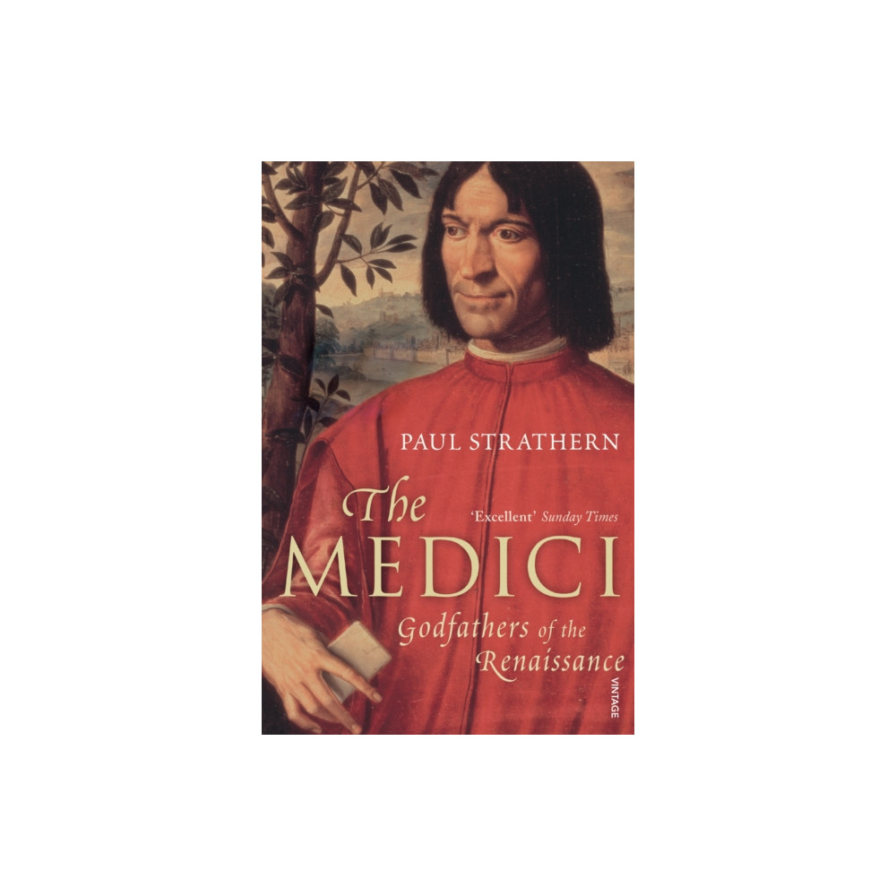 Produktbild för The Medici (häftad, eng)