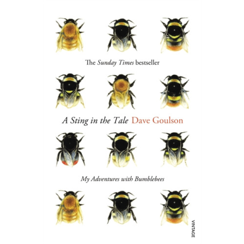 Vintage Publishing A Sting in the Tale (häftad, eng)