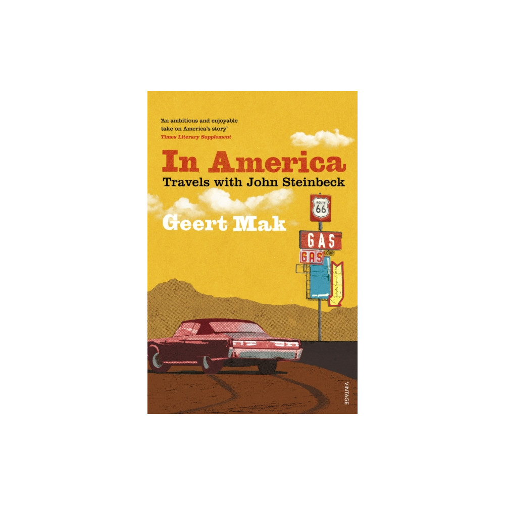 Produktbild för In America (häftad, eng)