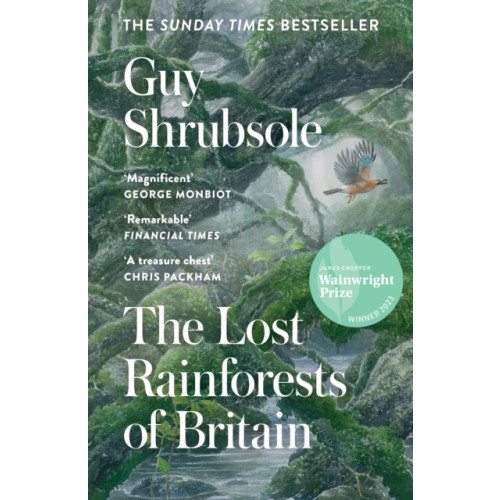HarperCollins Publishers The Lost Rainforests of Britain (häftad, eng)