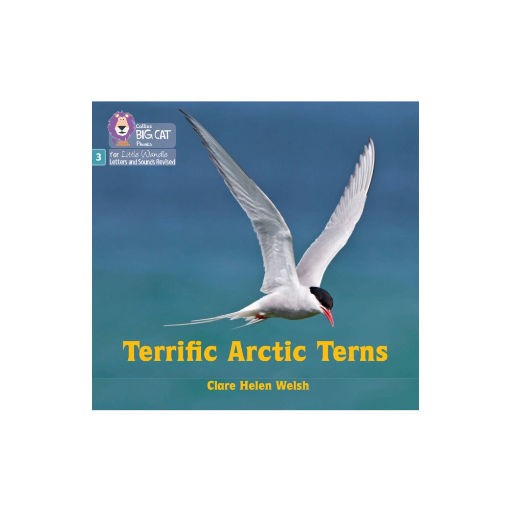 Produktbild för Terrific Arctic Terns (häftad, eng)