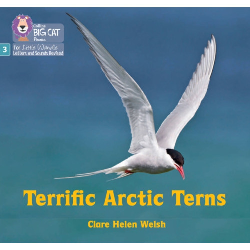 HarperCollins Publishers Terrific Arctic Terns (häftad, eng)