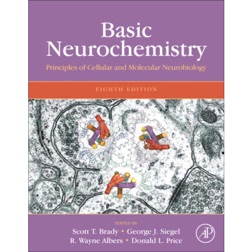 Elsevier Science Publishing Co Inc Basic Neurochemistry (inbunden, eng)