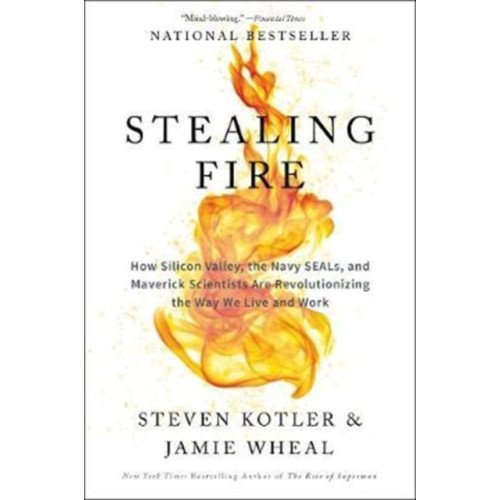 Harpercollins publishers inc Stealing Fire (häftad, eng)