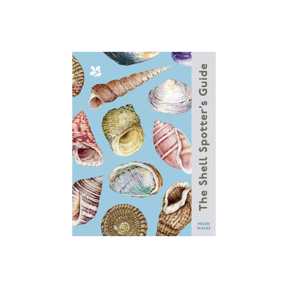 Produktbild för The Shell Spotter’s Guide (inbunden, eng)