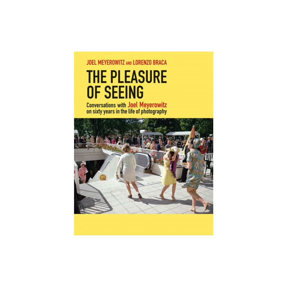 Produktbild för The Pleasure of Seeing (inbunden, eng)