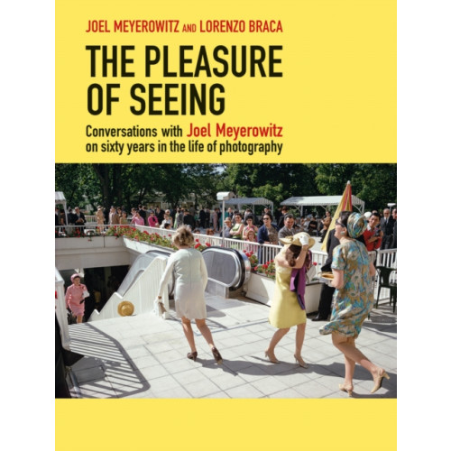 Damiani The Pleasure of Seeing (inbunden, eng)