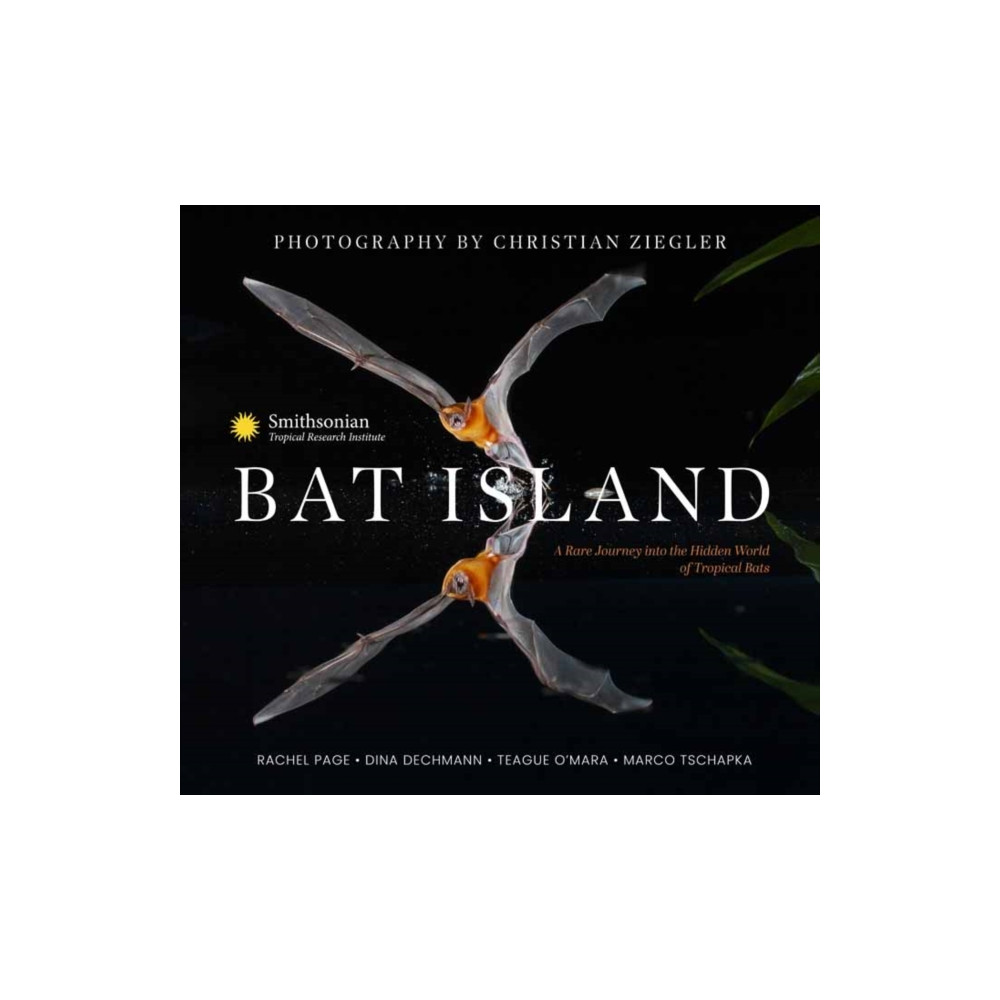 Produktbild för Bat Island (inbunden, eng)