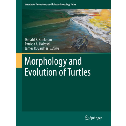 SPRINGER Morphology and Evolution of Turtles (inbunden, eng)