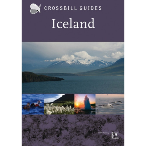 Crossbill Guides Foundation Iceland (häftad, eng)