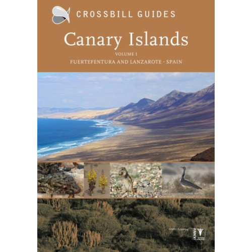 Crossbill Guides Foundation Canary Islands (häftad, eng)