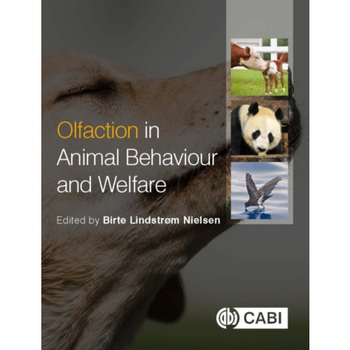 CABI Publishing Olfaction in Animal Behaviour and Welfare (häftad, eng)