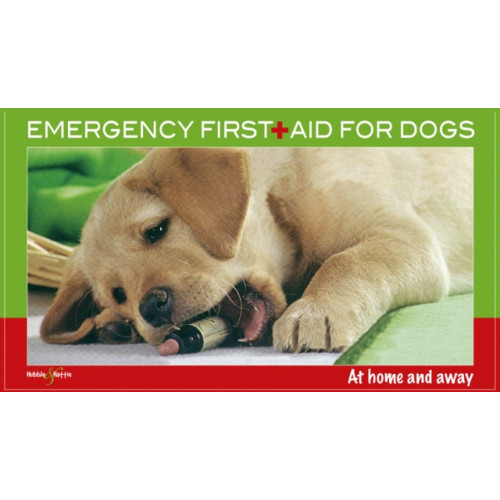 David & Charles Emergency First for Dogs (häftad, eng)