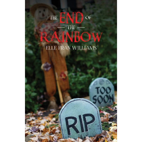 Austin Macauley Publishers The End of the Rainbow (häftad, eng)