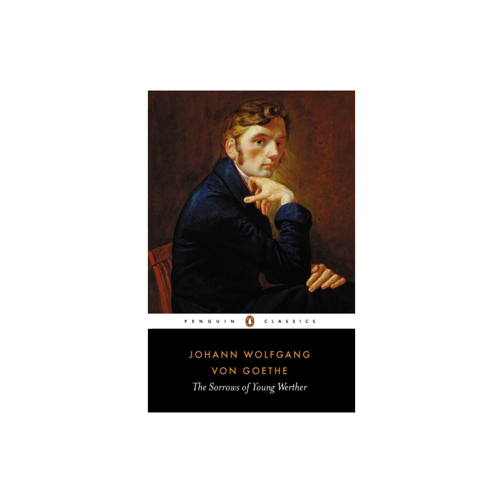 Produktbild för The Sorrows of Young Werther (häftad, eng)