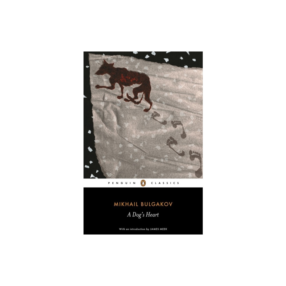Produktbild för A Dog's Heart (häftad, eng)