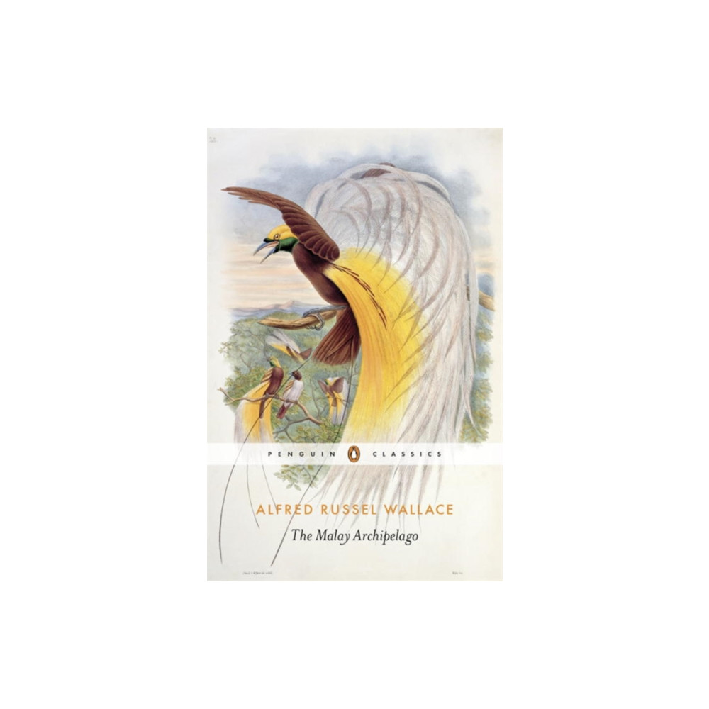 Produktbild för The Malay Archipelago (häftad, eng)