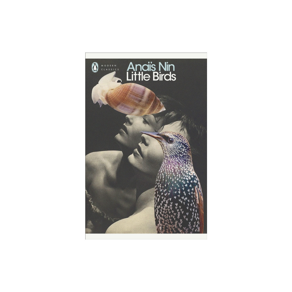 Produktbild för Little Birds (häftad, eng)
