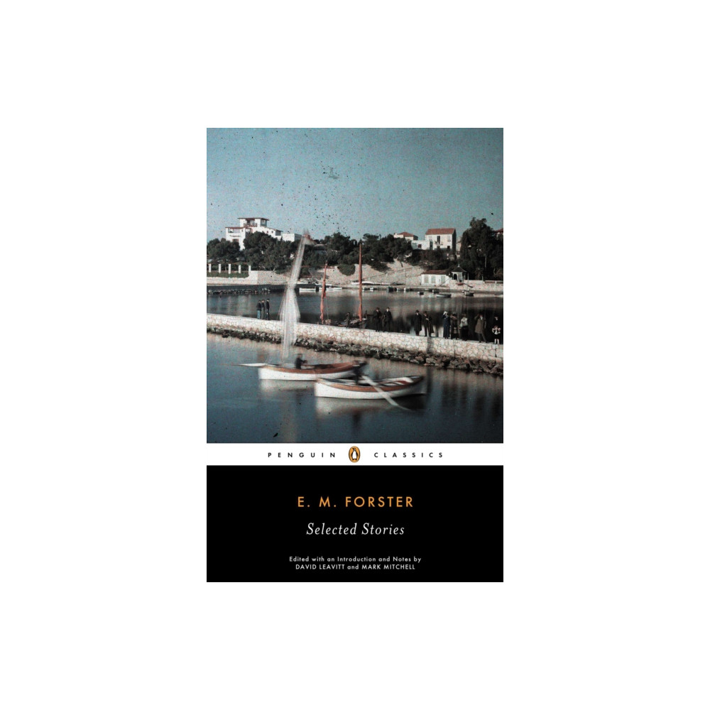 Produktbild för Selected Stories (häftad, eng)
