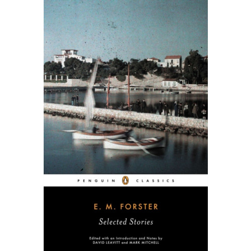 Penguin books ltd Selected Stories (häftad, eng)
