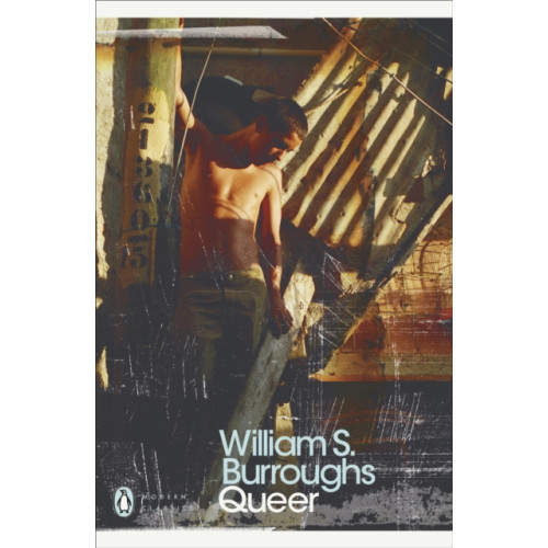 Penguin books ltd Queer (häftad, eng)