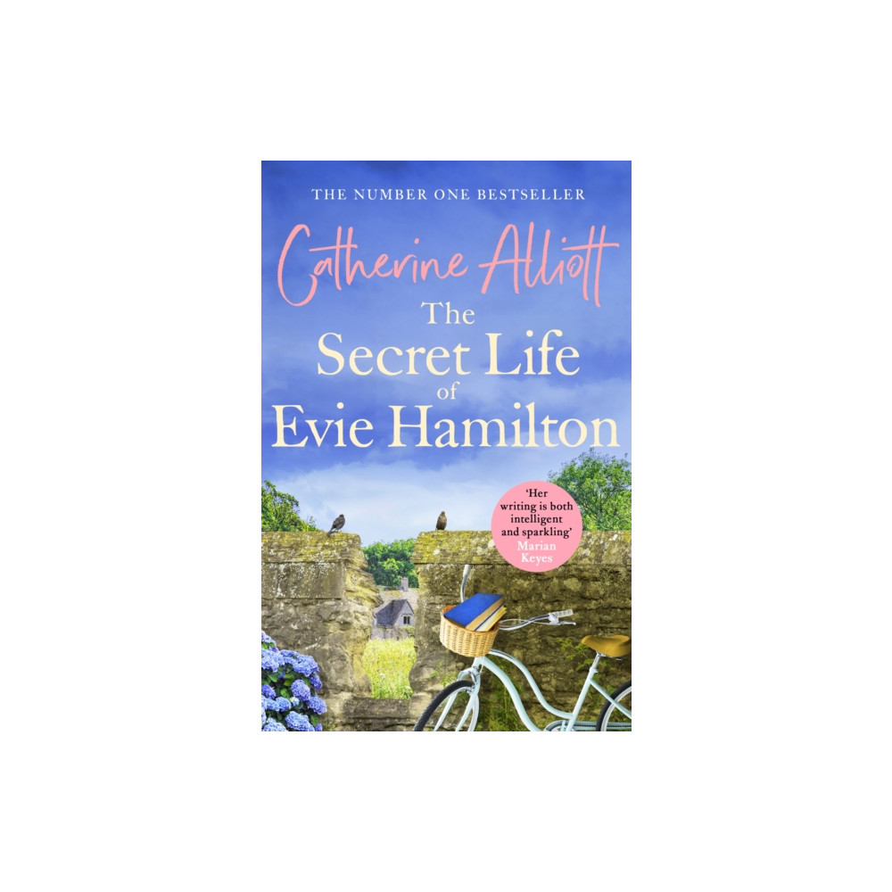 Produktbild för The Secret Life of Evie Hamilton (häftad, eng)