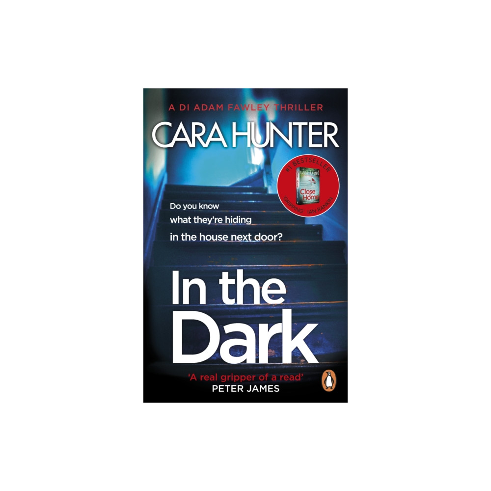 Produktbild för In The Dark (häftad, eng)