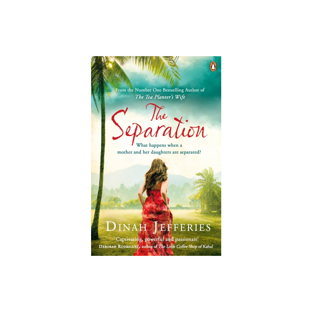Produktbild för The Separation (häftad, eng)