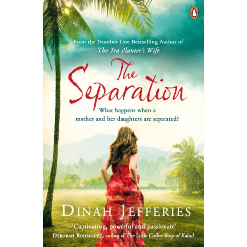 Penguin books ltd The Separation (häftad, eng)