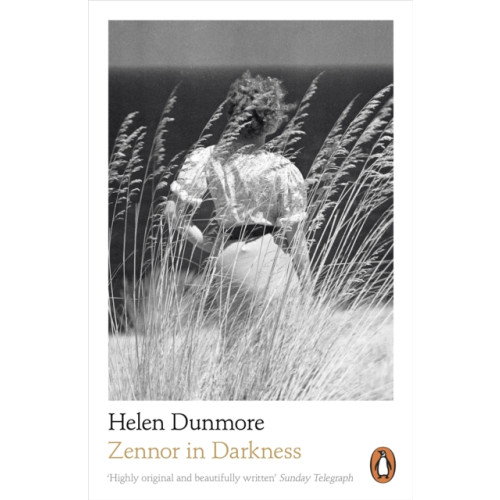 Penguin books ltd Zennor in Darkness (häftad, eng)
