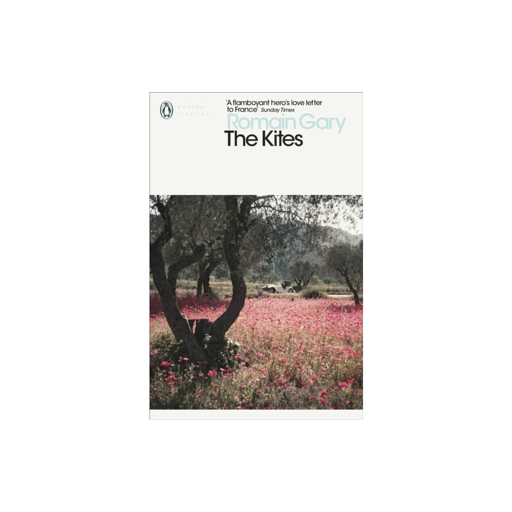 Produktbild för The Kites (häftad, eng)