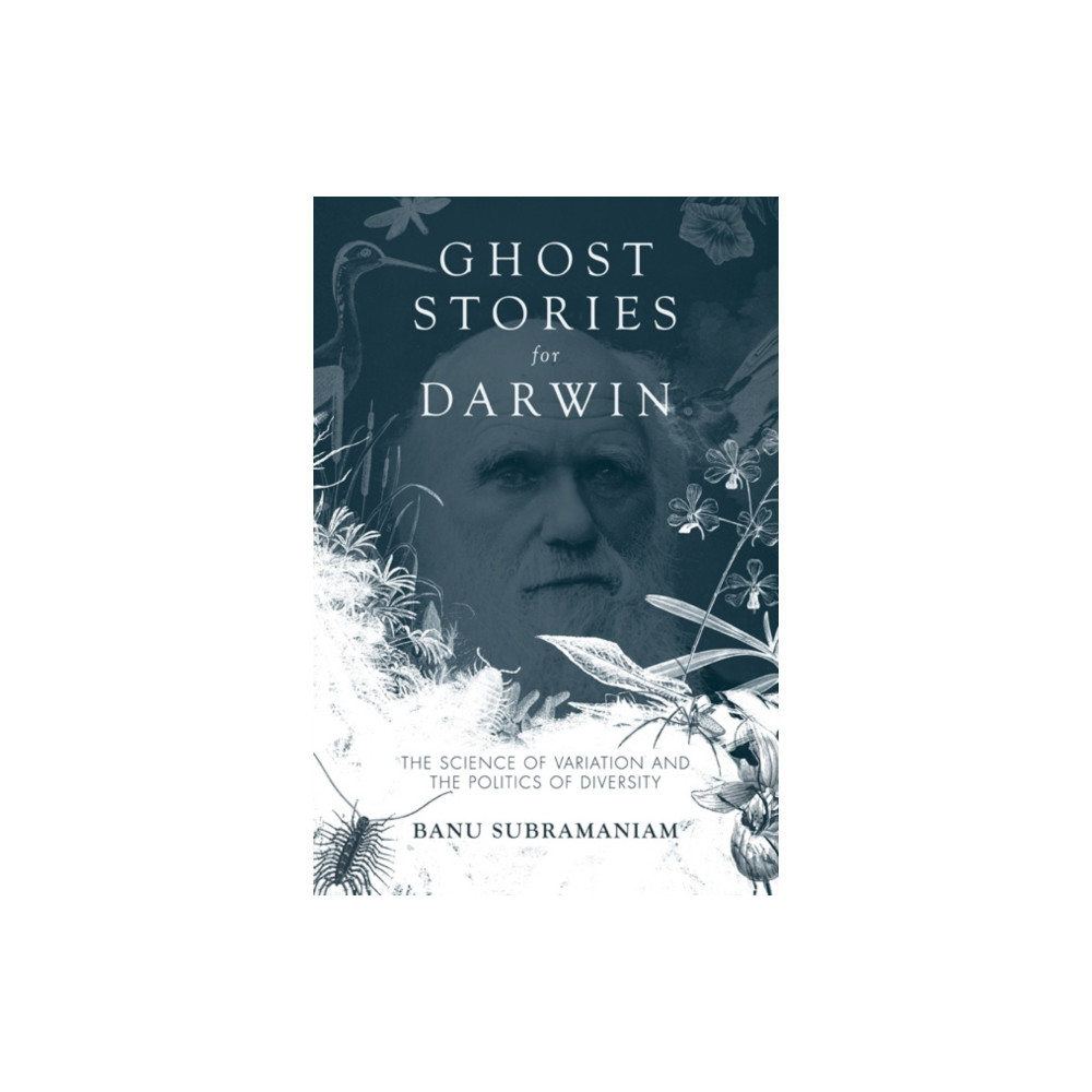 Produktbild för Ghost Stories for Darwin (häftad, eng)