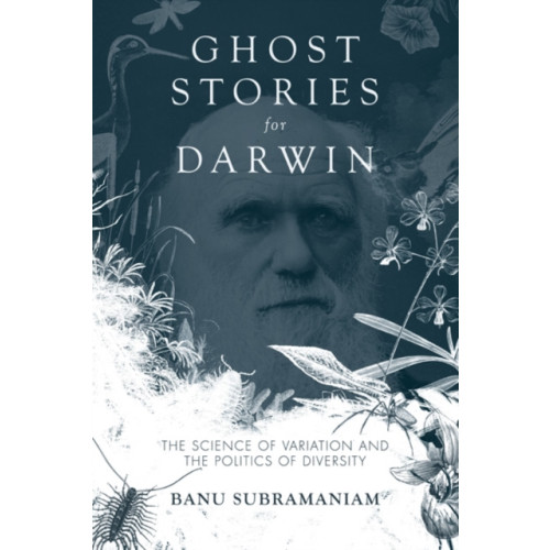 University of illinois press Ghost Stories for Darwin (häftad, eng)